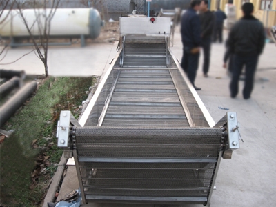 Vegetable Washing and Cooling Machine
